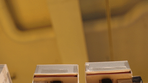 gif004